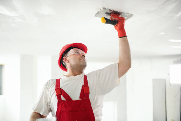 Best Drywall Sanding and Smoothing  in Caryville, TN